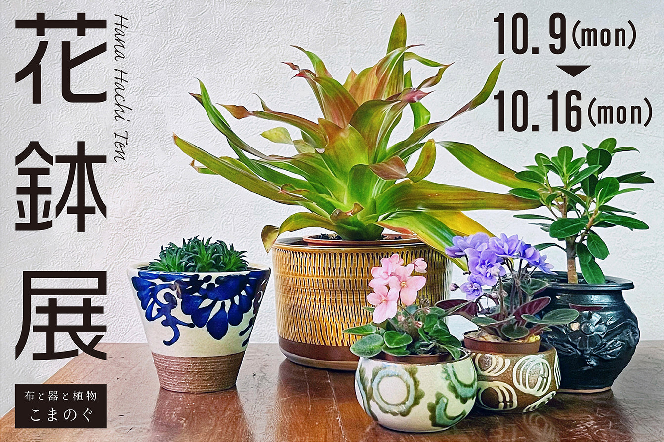 花鉢展 in こまのぐ